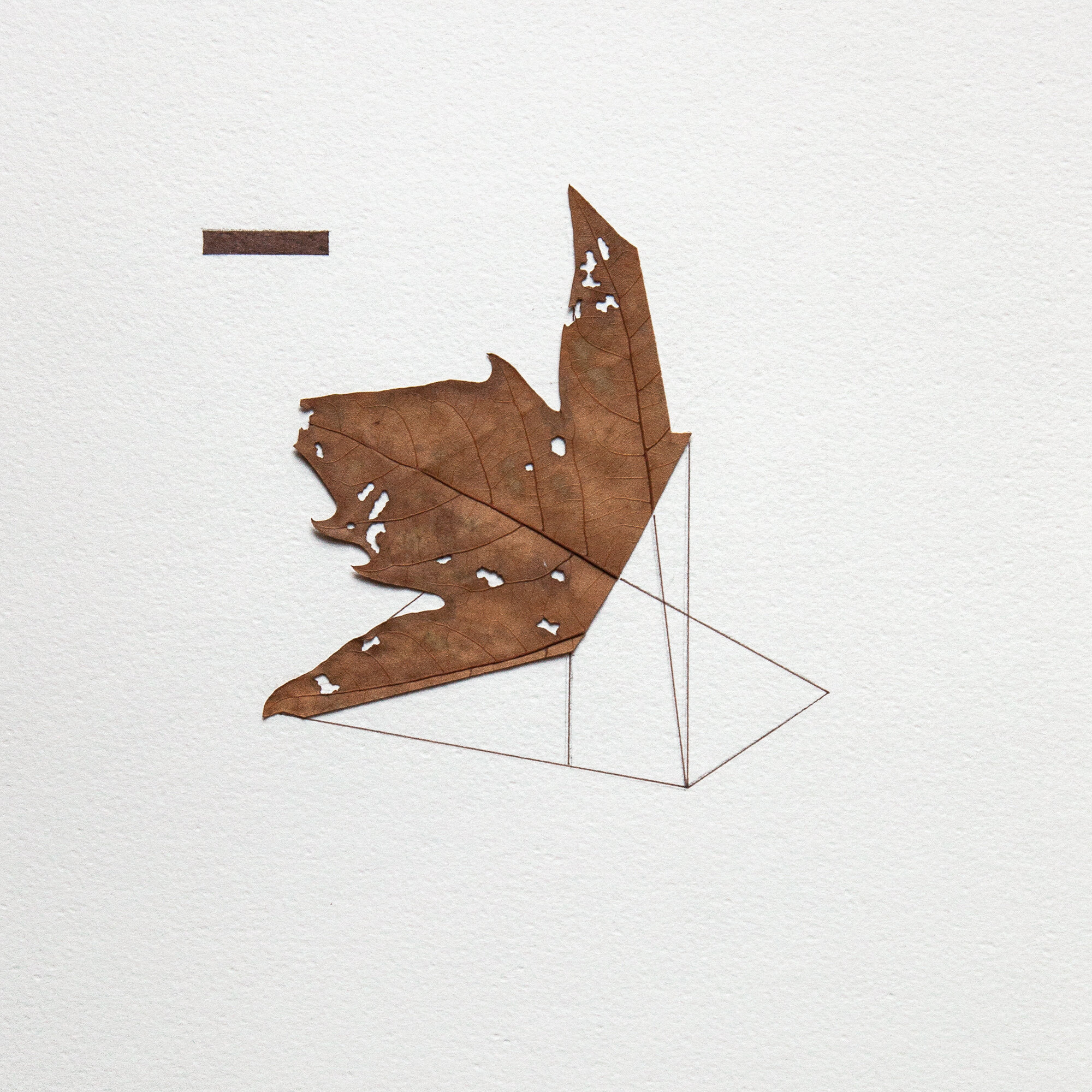   UNTITLED   48x36cm | collage, dried leaves and marker on paper    2015  