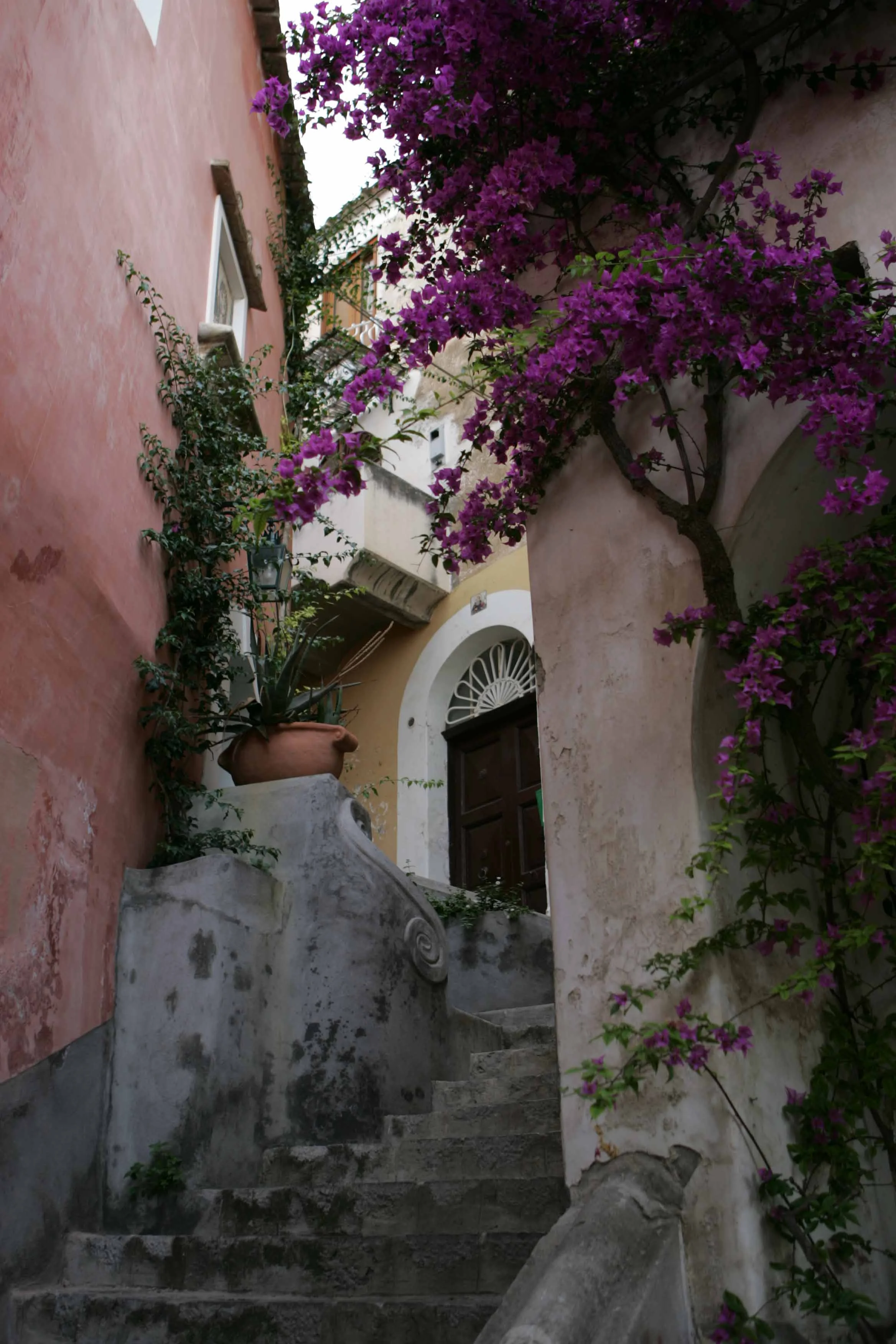 Staircase with flowers, Procida, Italy