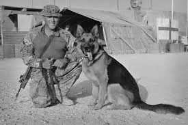 K9 soldier with dog