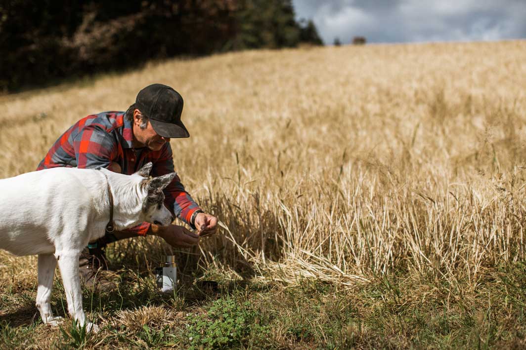 wanderback-72-PHIL-AND-KODA-BARLEY.jpg