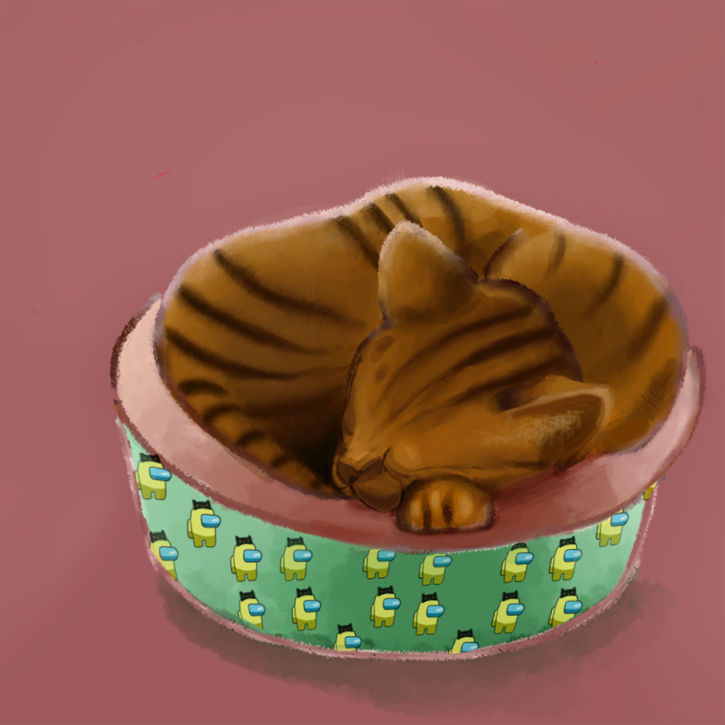 alex kitten.jpg