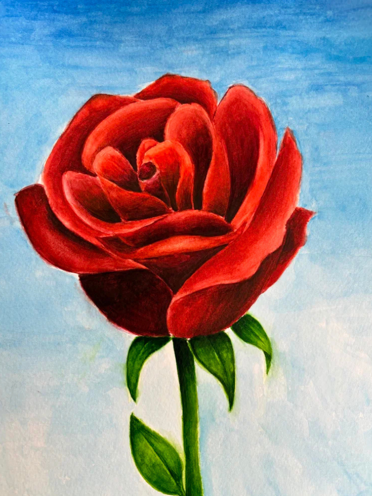 Untitled design-9.png