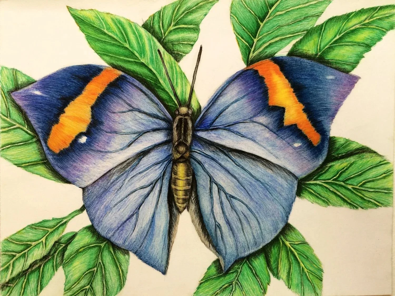 Untitled design-2.jpg