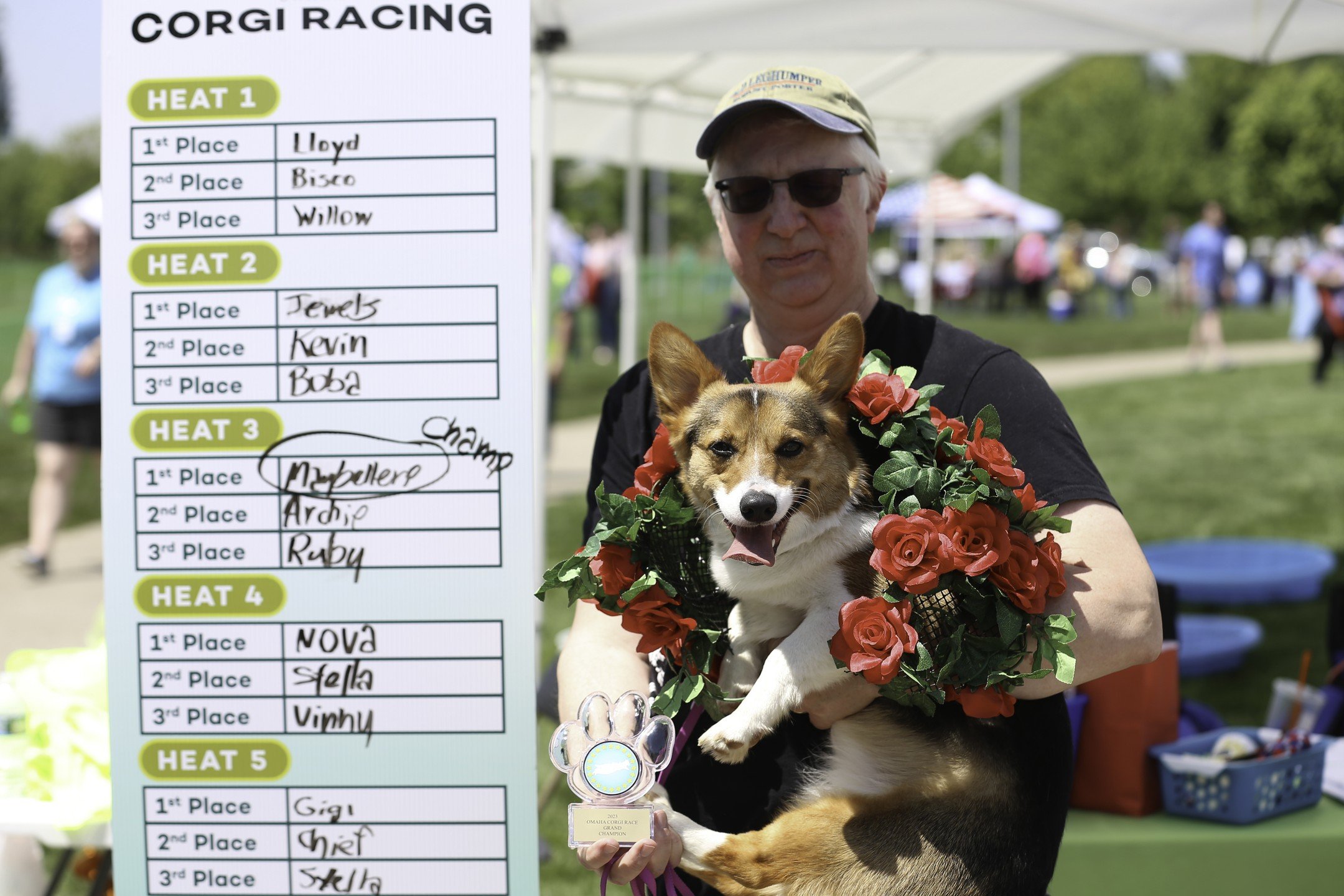 #TBT to last year's Corgi Races! The 4th annual Omaha Corgi Races are this Saturday! Go out and watch man's best friend on the 11th!