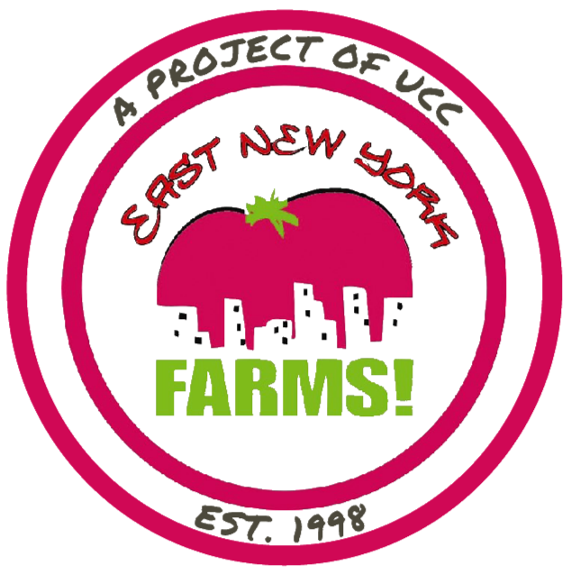 2019+ENYF%21+logo+-+no+background.png