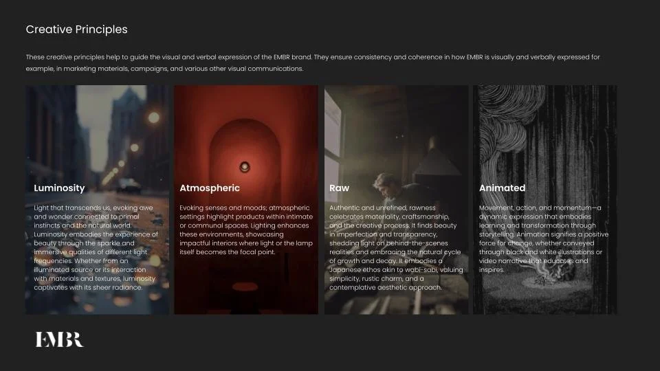 EMBR_Playbook excerpts for Website.jpg