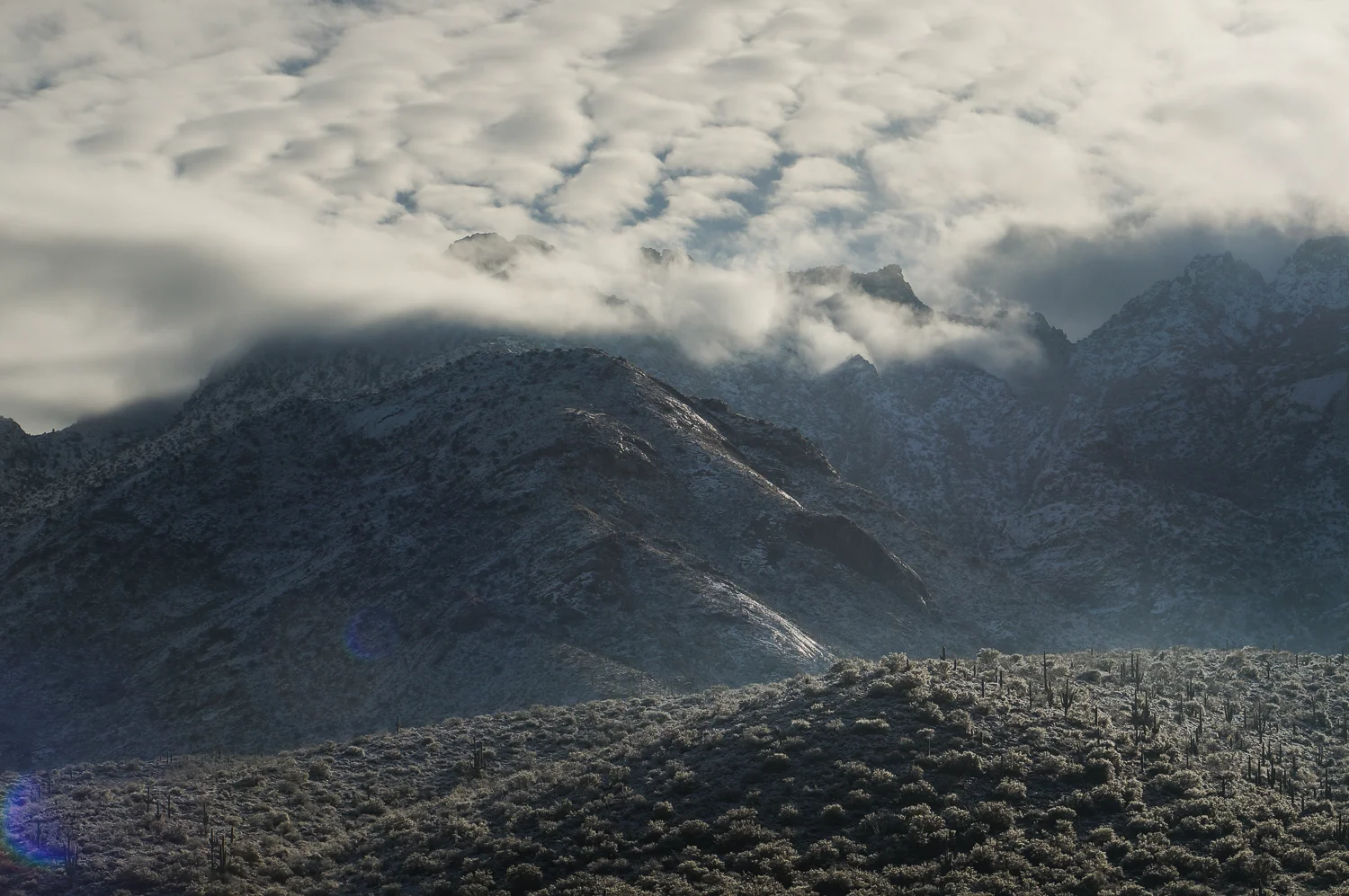catalina mtn snow-02397.jpg
