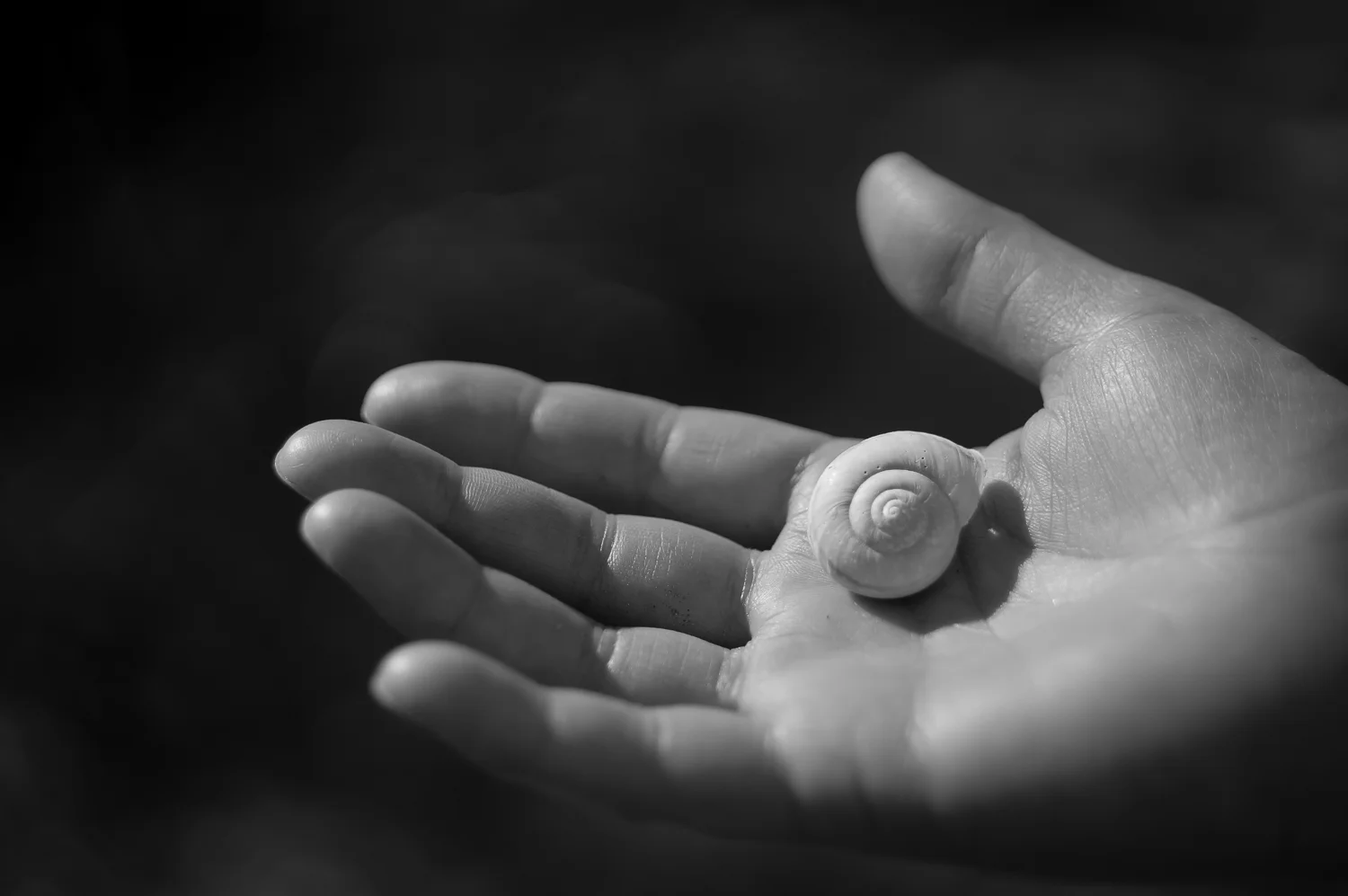 the_offering-07821.jpg