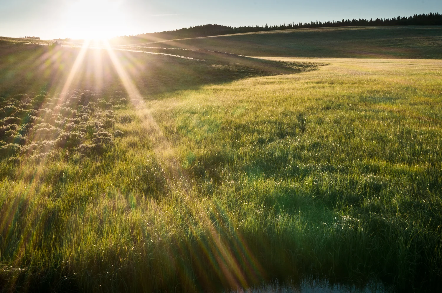 ForbesParkSunrise-01084.jpg