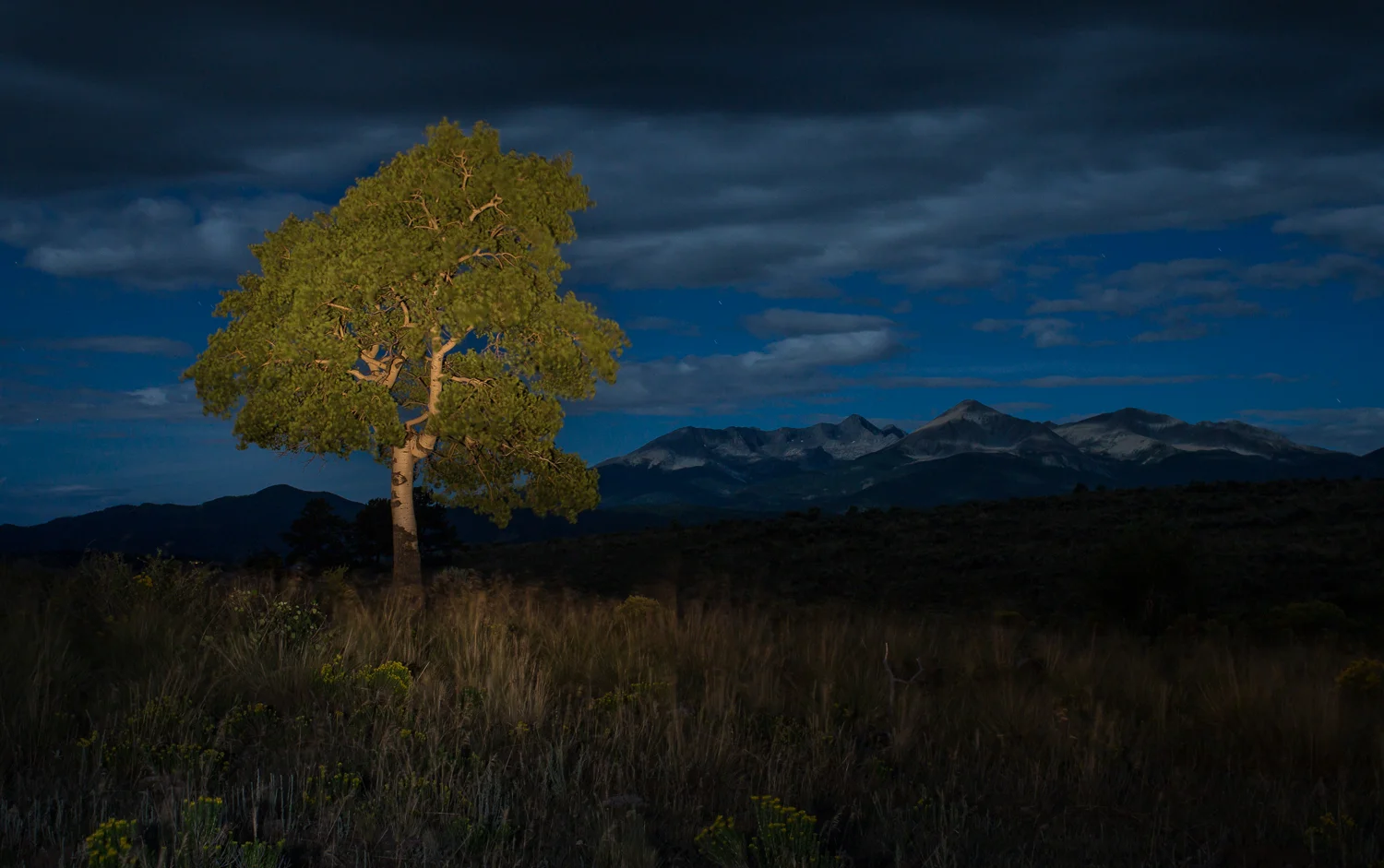 aspen_blanca_night-02895.jpg