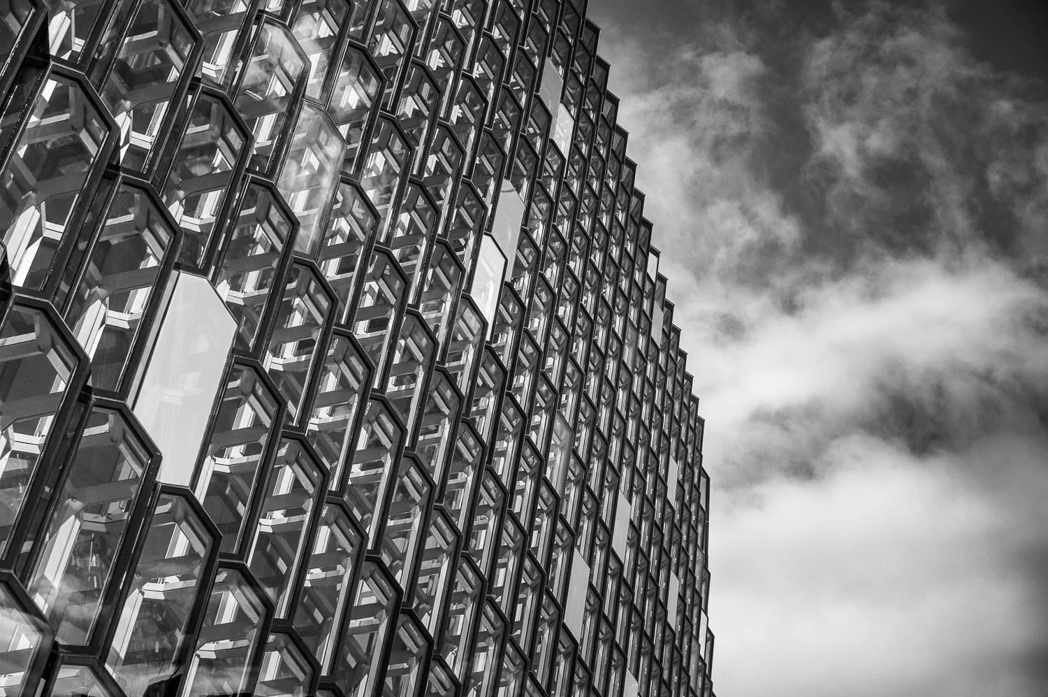 Harp_and_Sky-04040.jpg