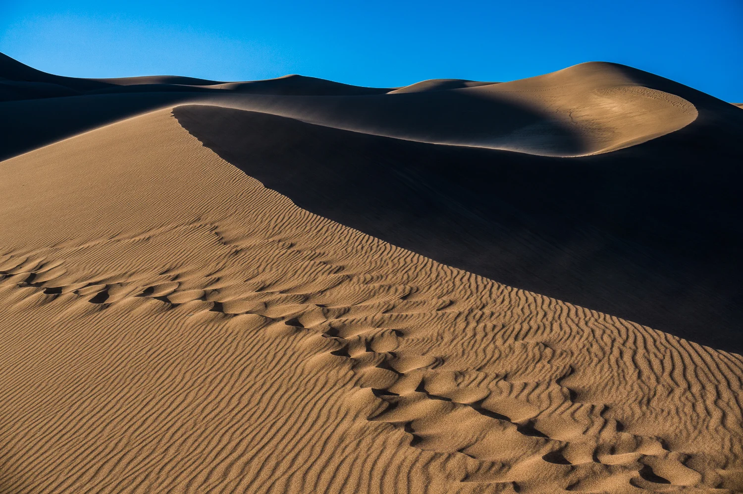 dune_footprints-07894.jpg