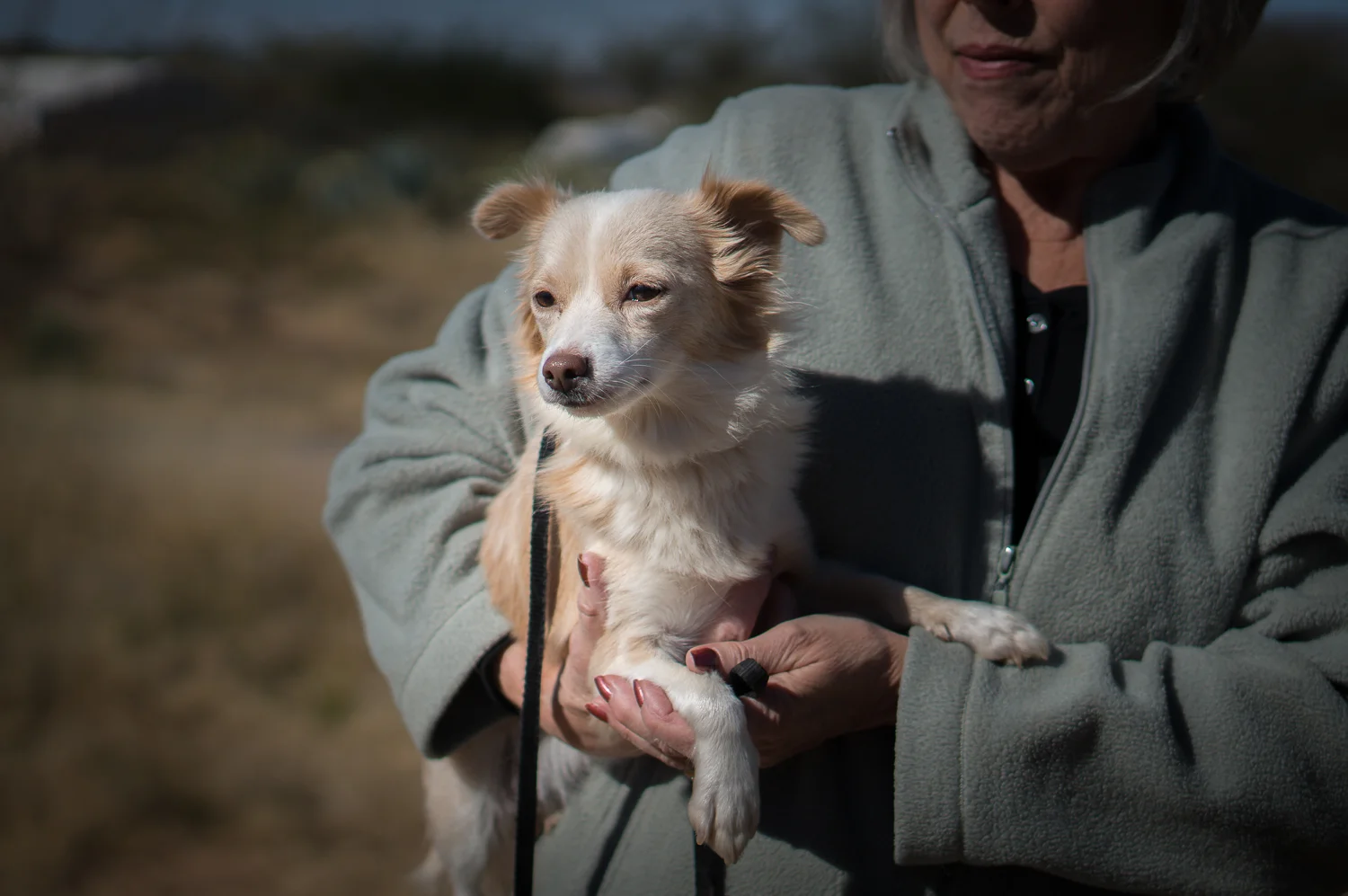 rescue_dog-00069.jpg