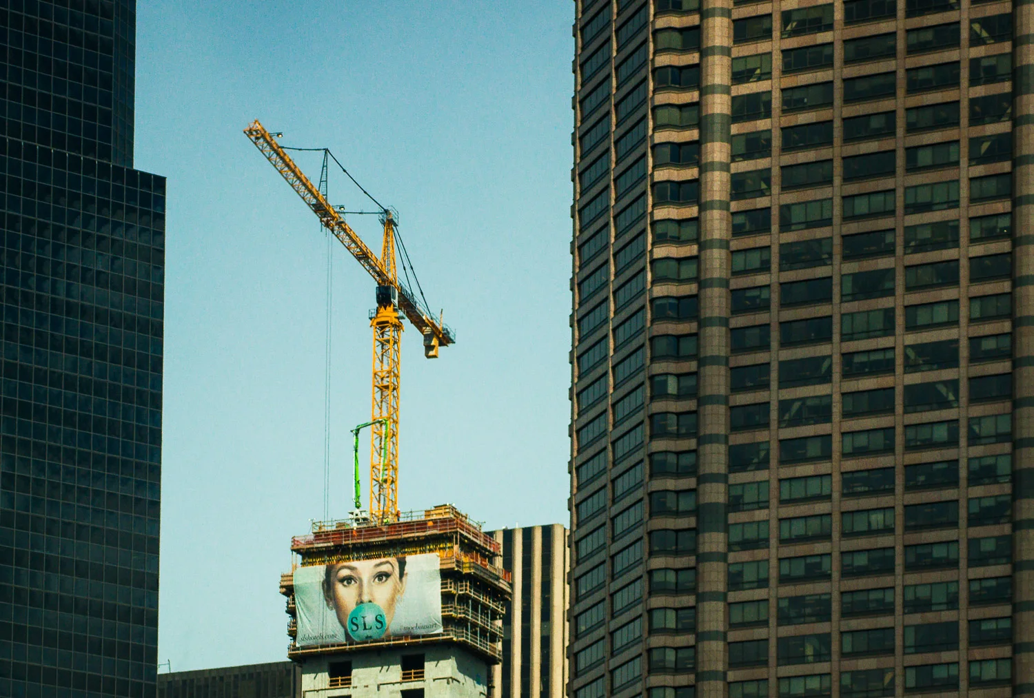 gagged_crane-00320.jpg