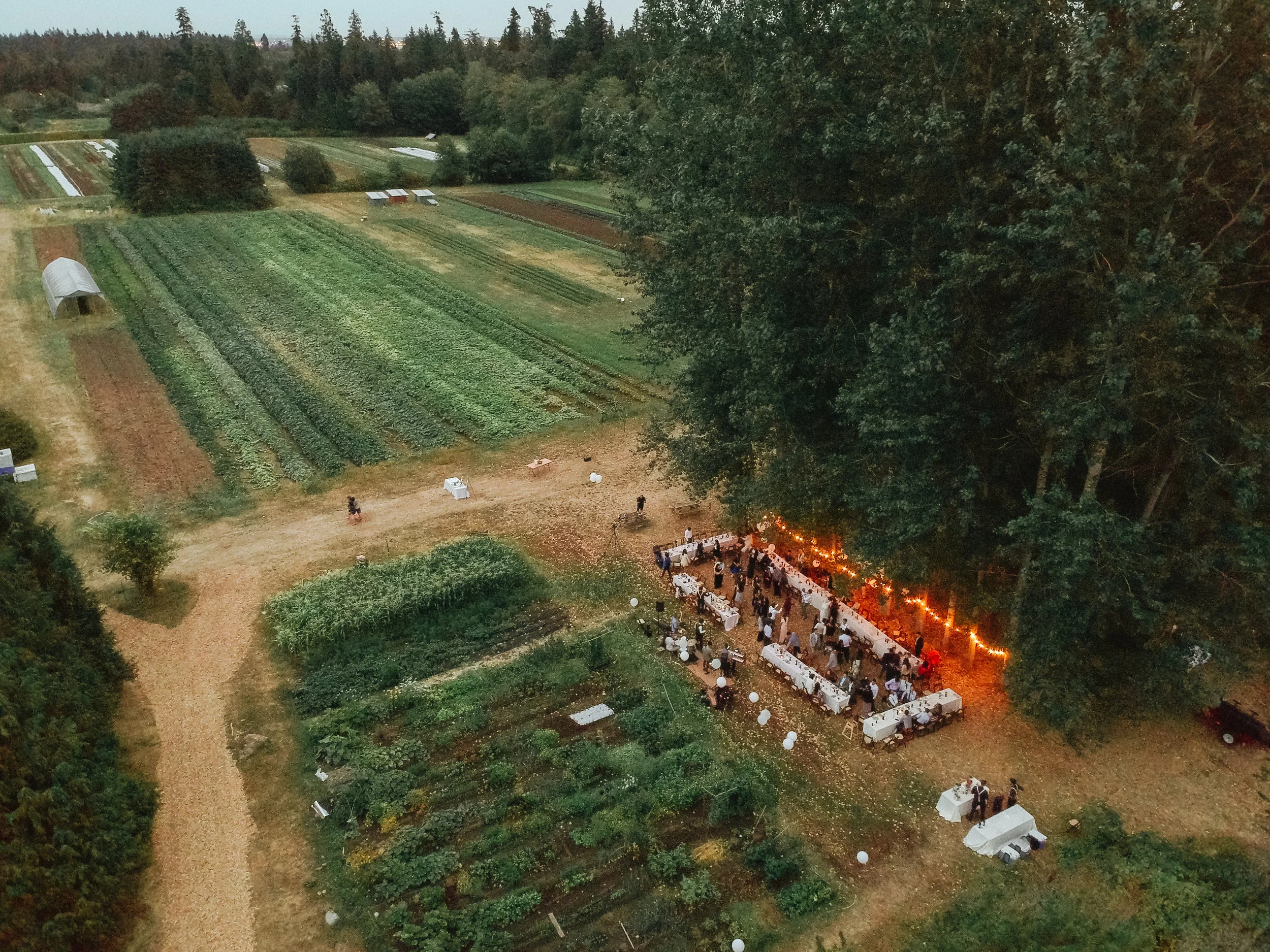 herastudios_wedding_bella_james_hera_selects-128.jpg
