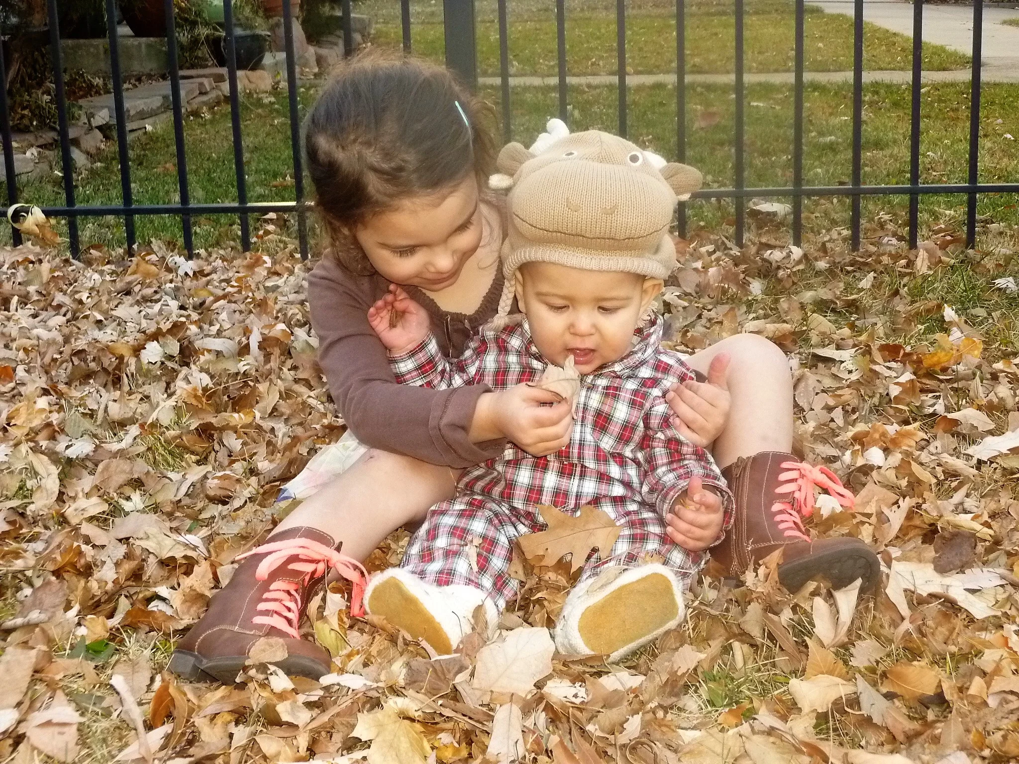 Leaves.jpg