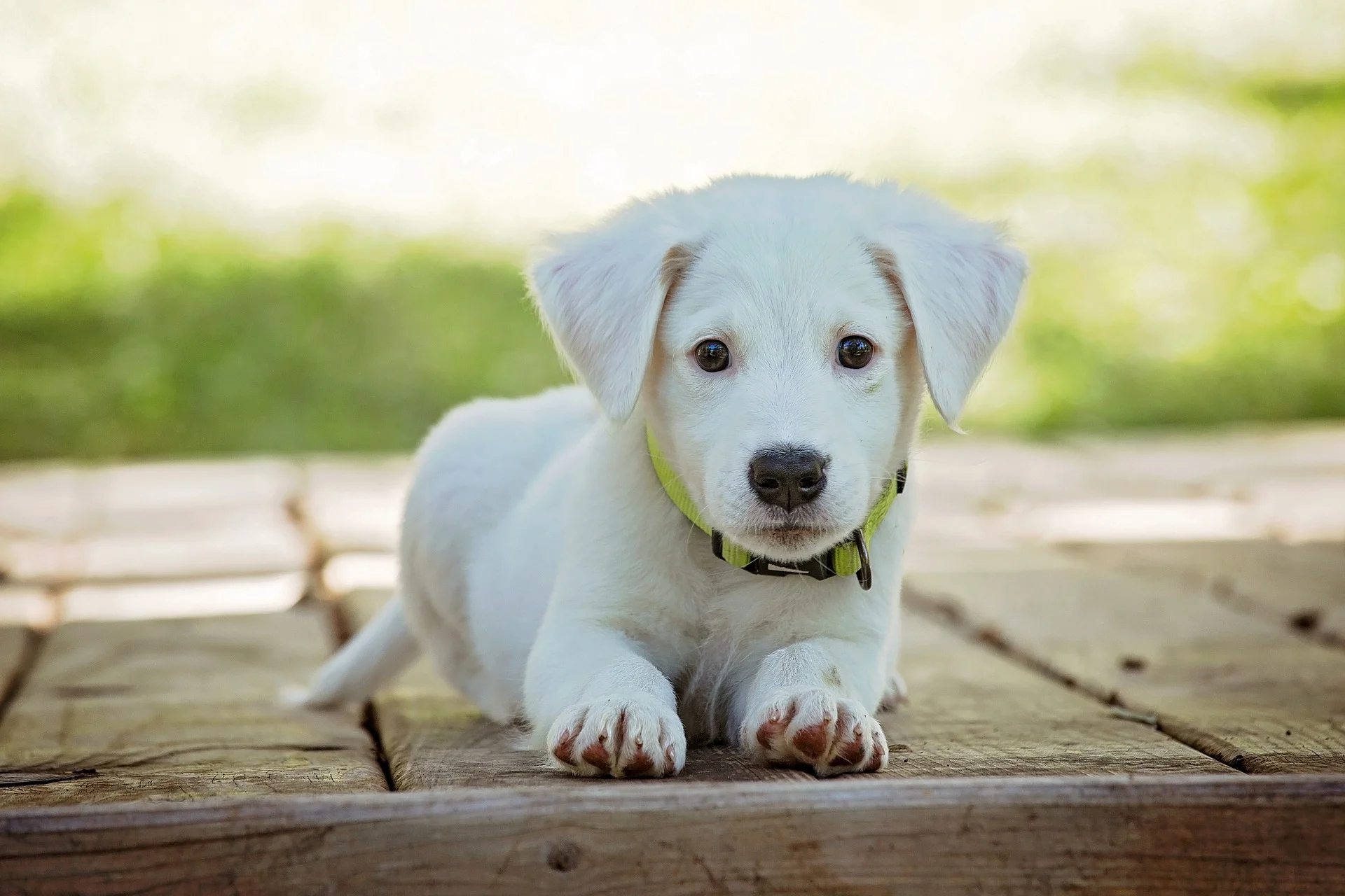 Too cute!!!