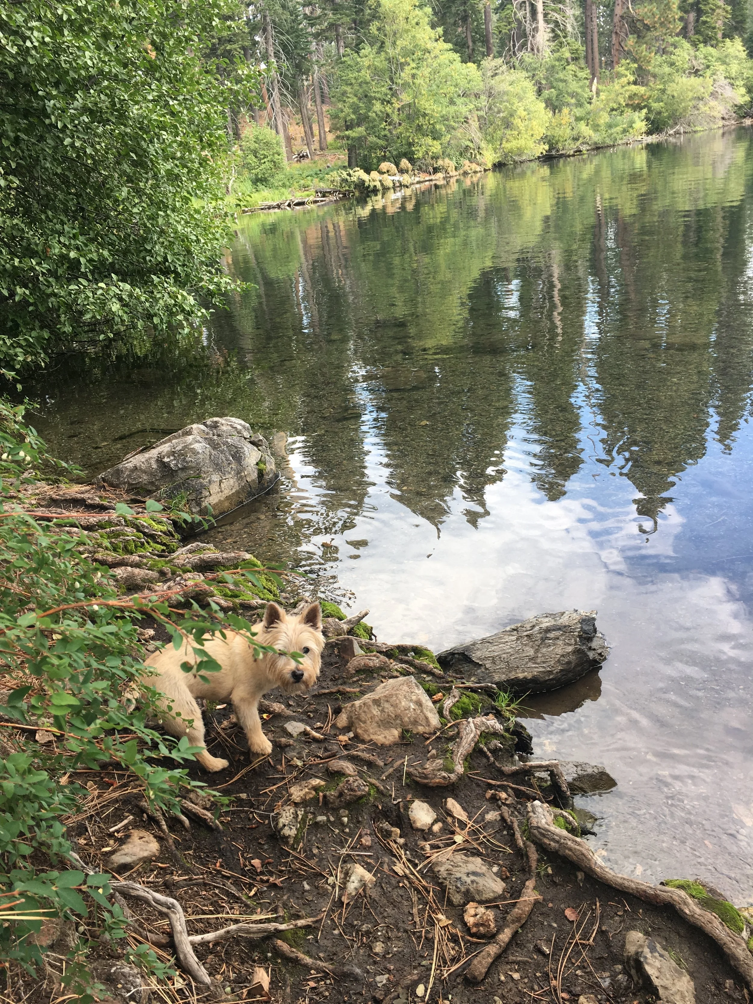 Calendar - Ladybug.JPG