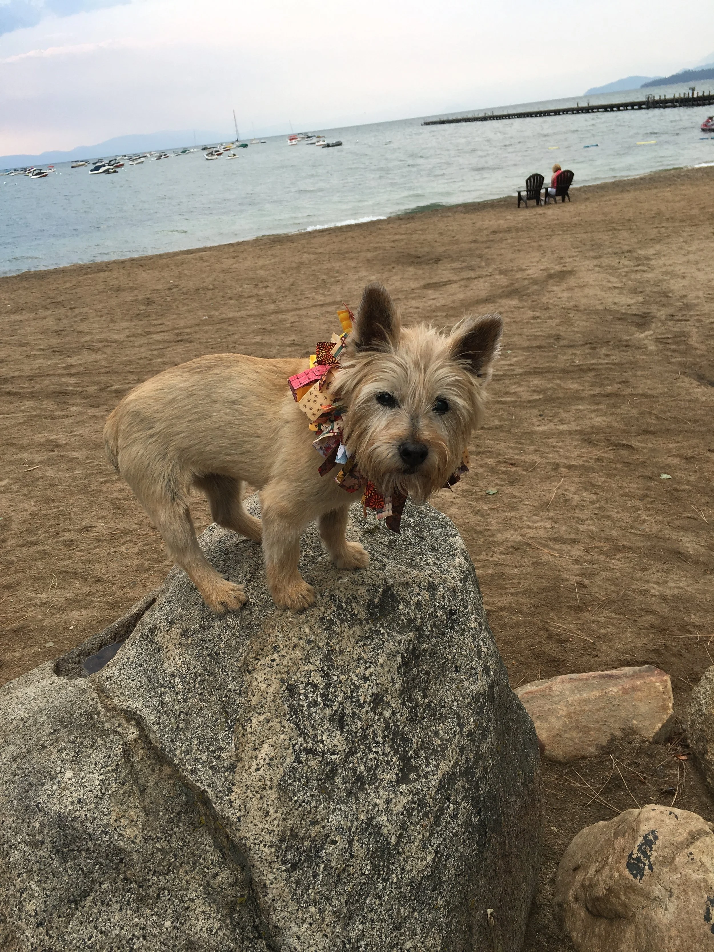 Calendar - Ladybug 3.JPG