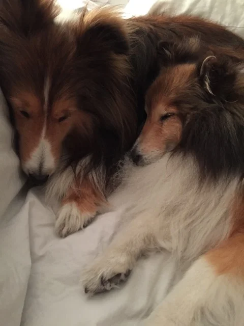 Emma & Gordie Cuddling.jpeg