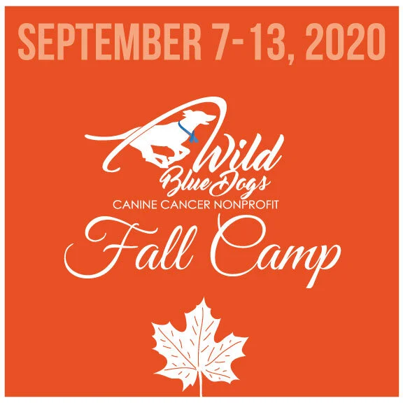 2020_FallCamp.jpg