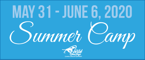 Facebook_banner_Summer.png