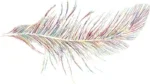 tumblr_static_feather.jpg