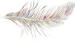 smallfeather.jpg