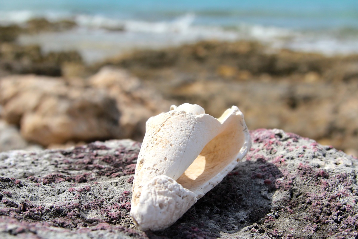 Lessons from the Cayman Islands: Traveling to Slow Down