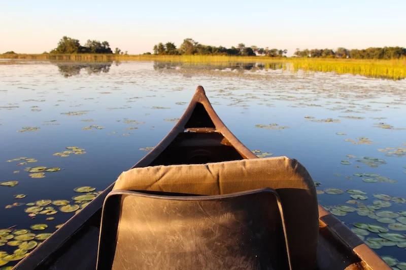 Daily Africa Travelogue From Botswana