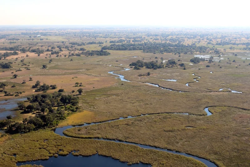 Photo Essay: 18 Reasons Why You Should Visit the Botswana Okavango Delta