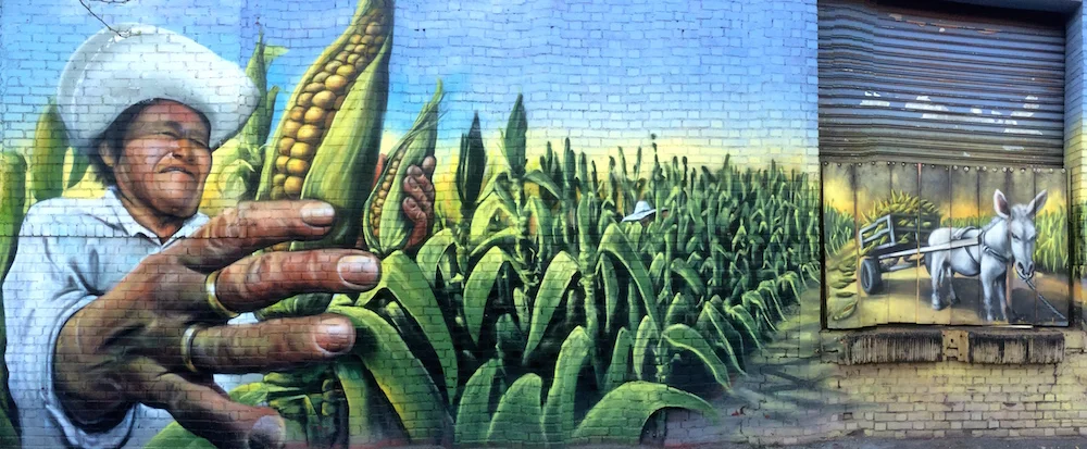 A Brooklyn Street Art Tour in Photos