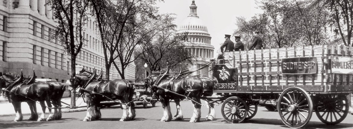 A History of Beer in the US Featuring the Oldest Beers in America