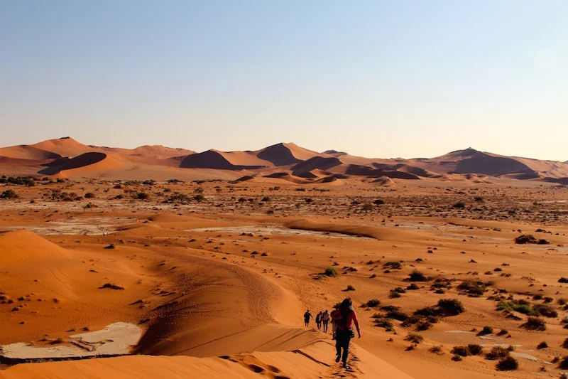 A Budget Africa Safari for Less Than $1,000, Part Two