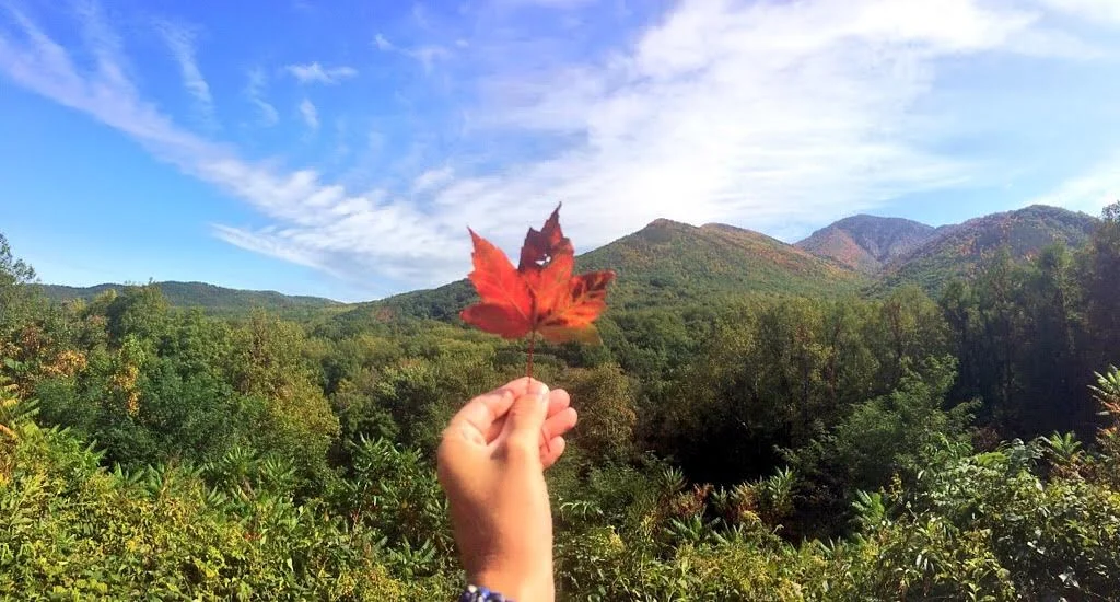 Photo Essay: A Tour in Photos of Tennessee's Great Smokies and Gatlinburg