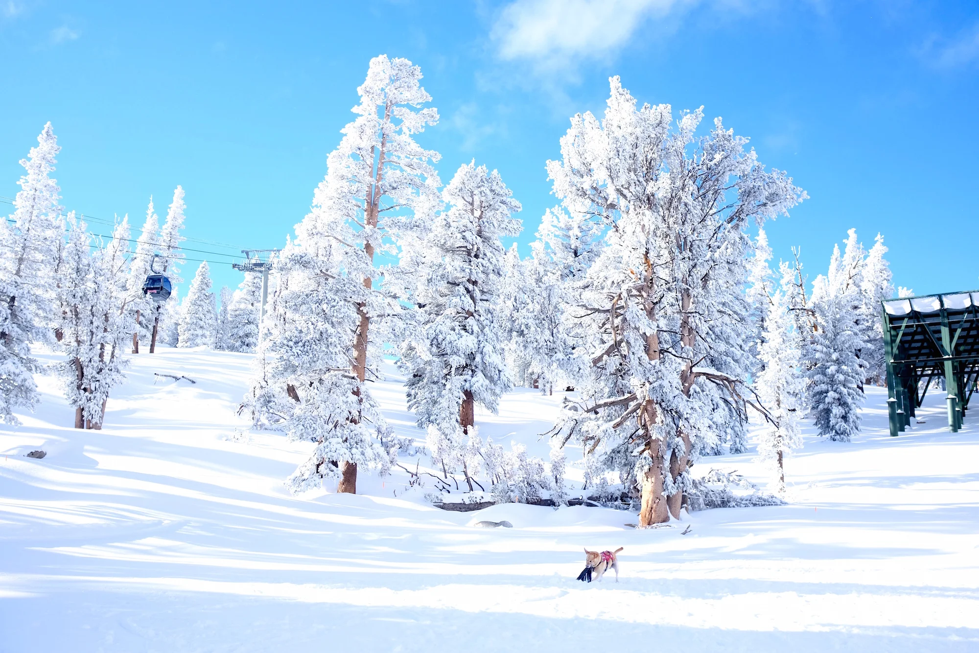 Photo Essay: Tour of Lake Tahoe, California Ski Resorts in Photos