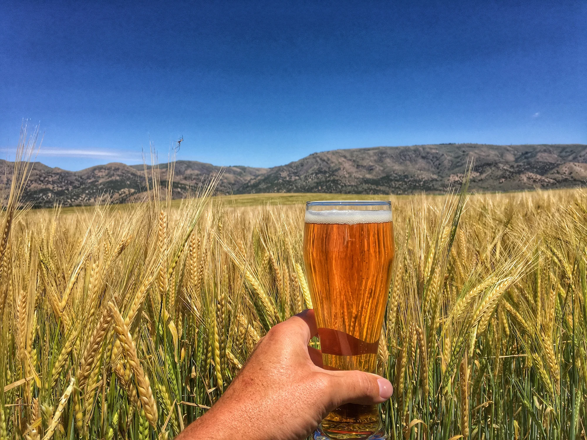Behind-the-Scenes Beer Road Trip in Idaho