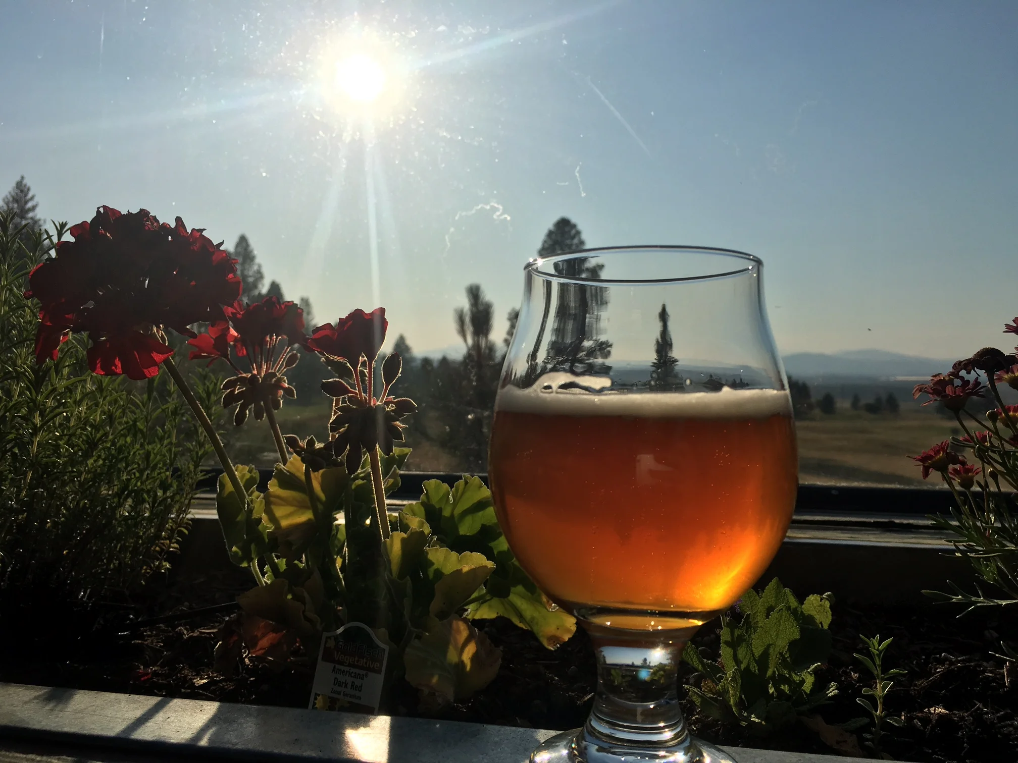 A Summer Northstar California Ski Resort Food Tour