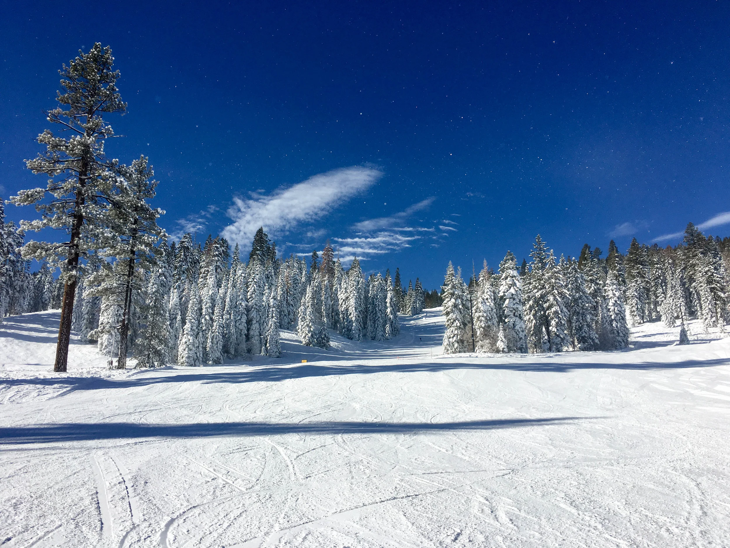 Winter Wonderland in the Sierra Nevada Mountains