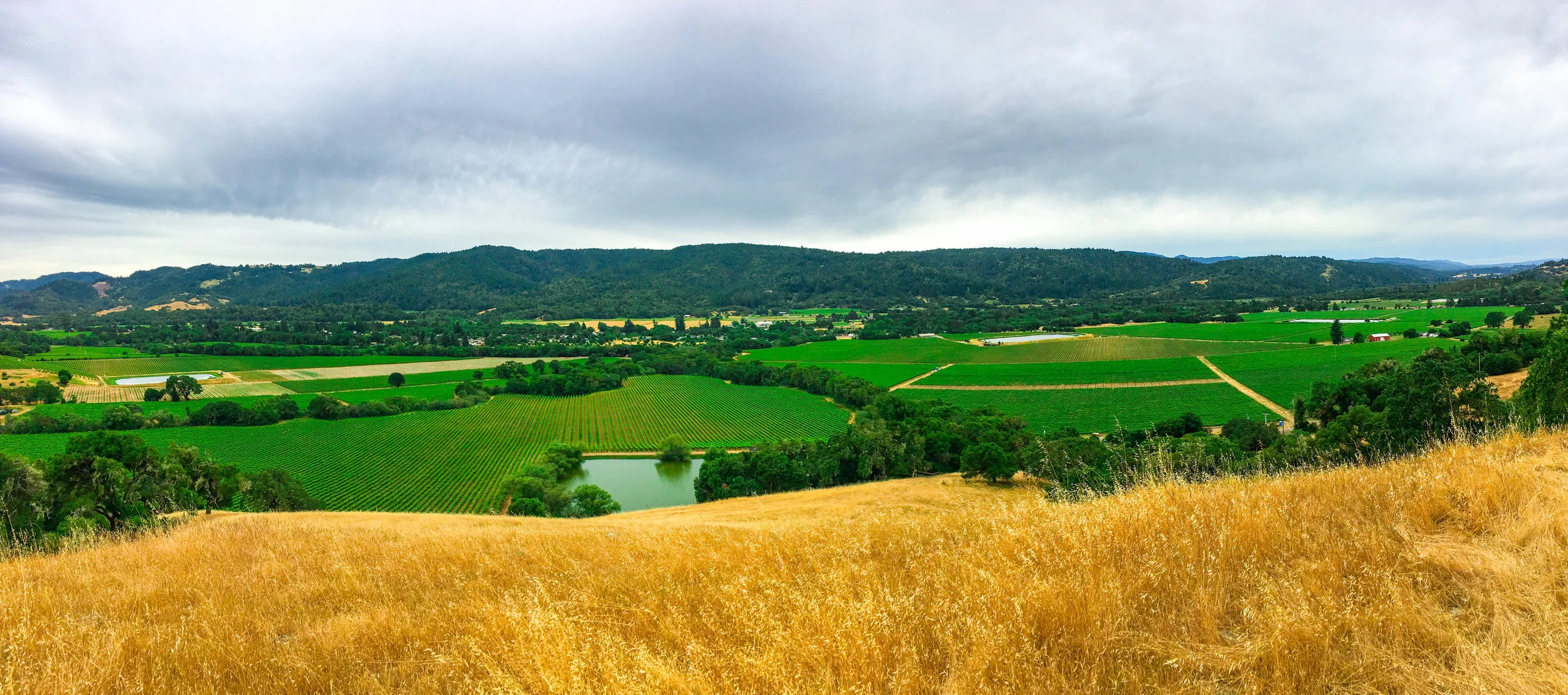 Anderson Valley Travel Guide