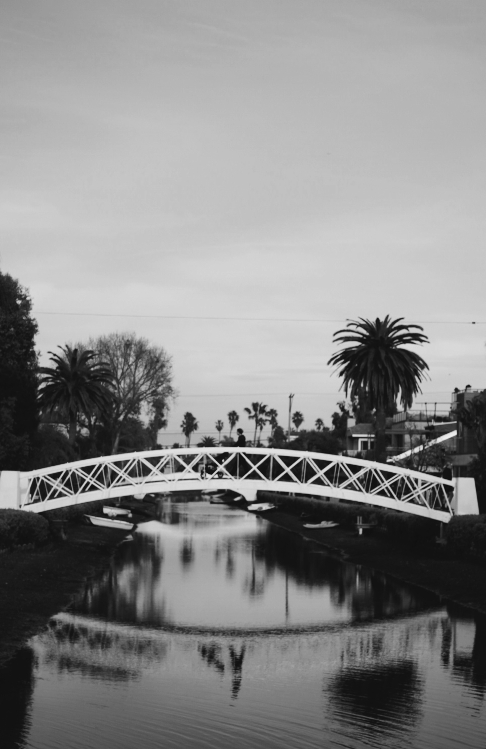 Day 15 Venice Canals.JPG