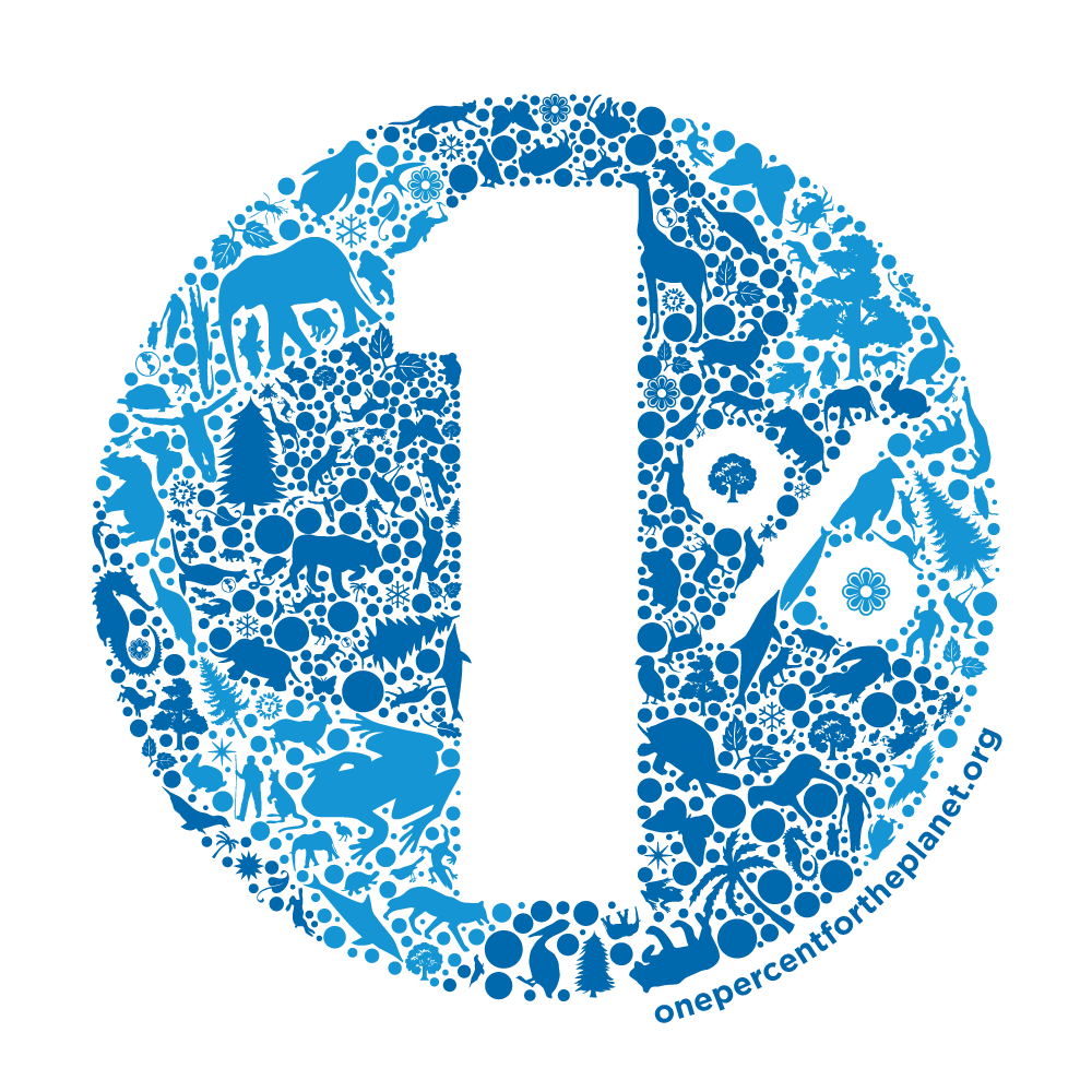 NetworkActionLogo.png