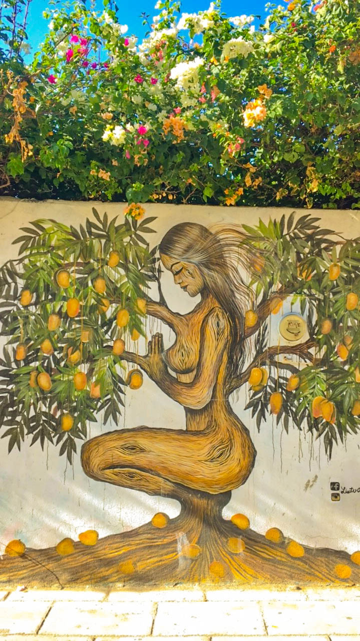 Puerto Escondido street art