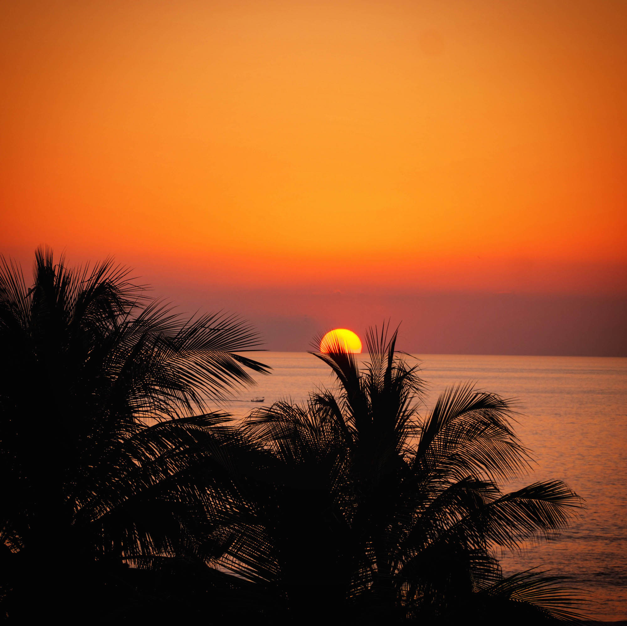 Oaxaca coastline sunset