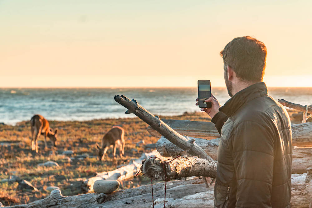 Lost Coast wildlife.jpg