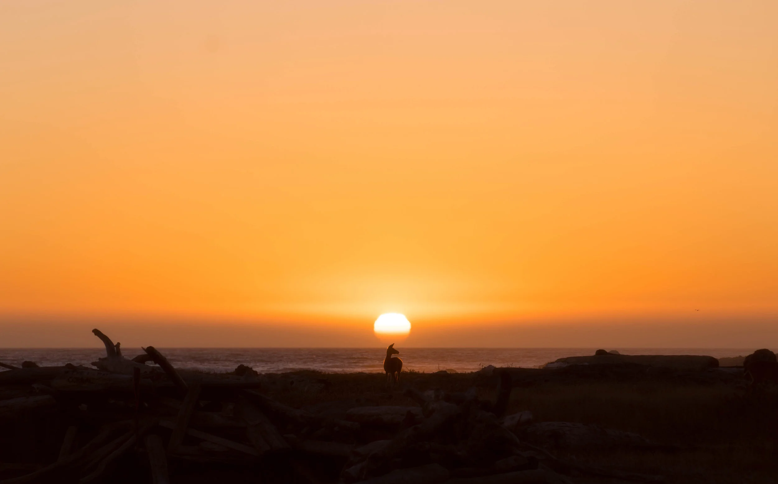North Coast sunset.jpg