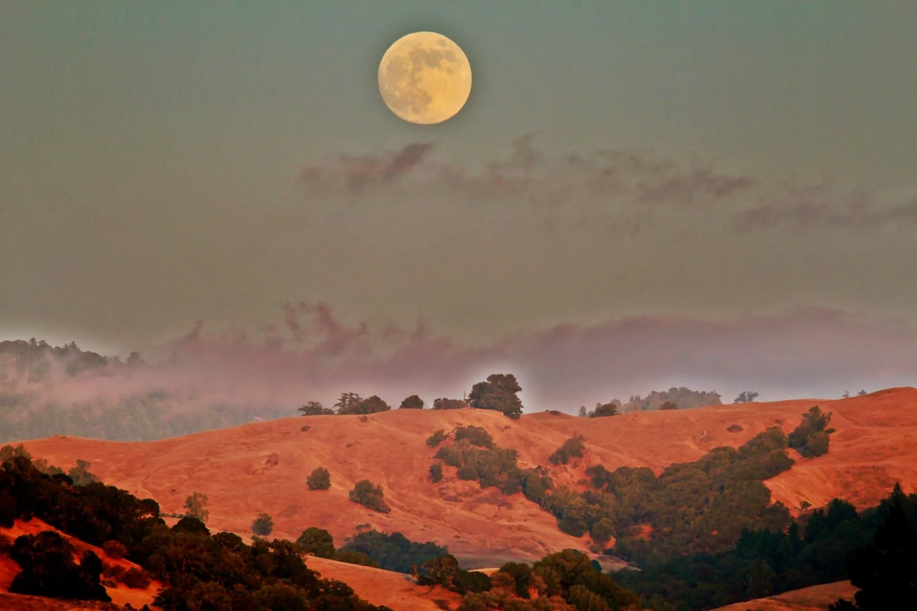 What to Do Outdoors in Mendocino, California