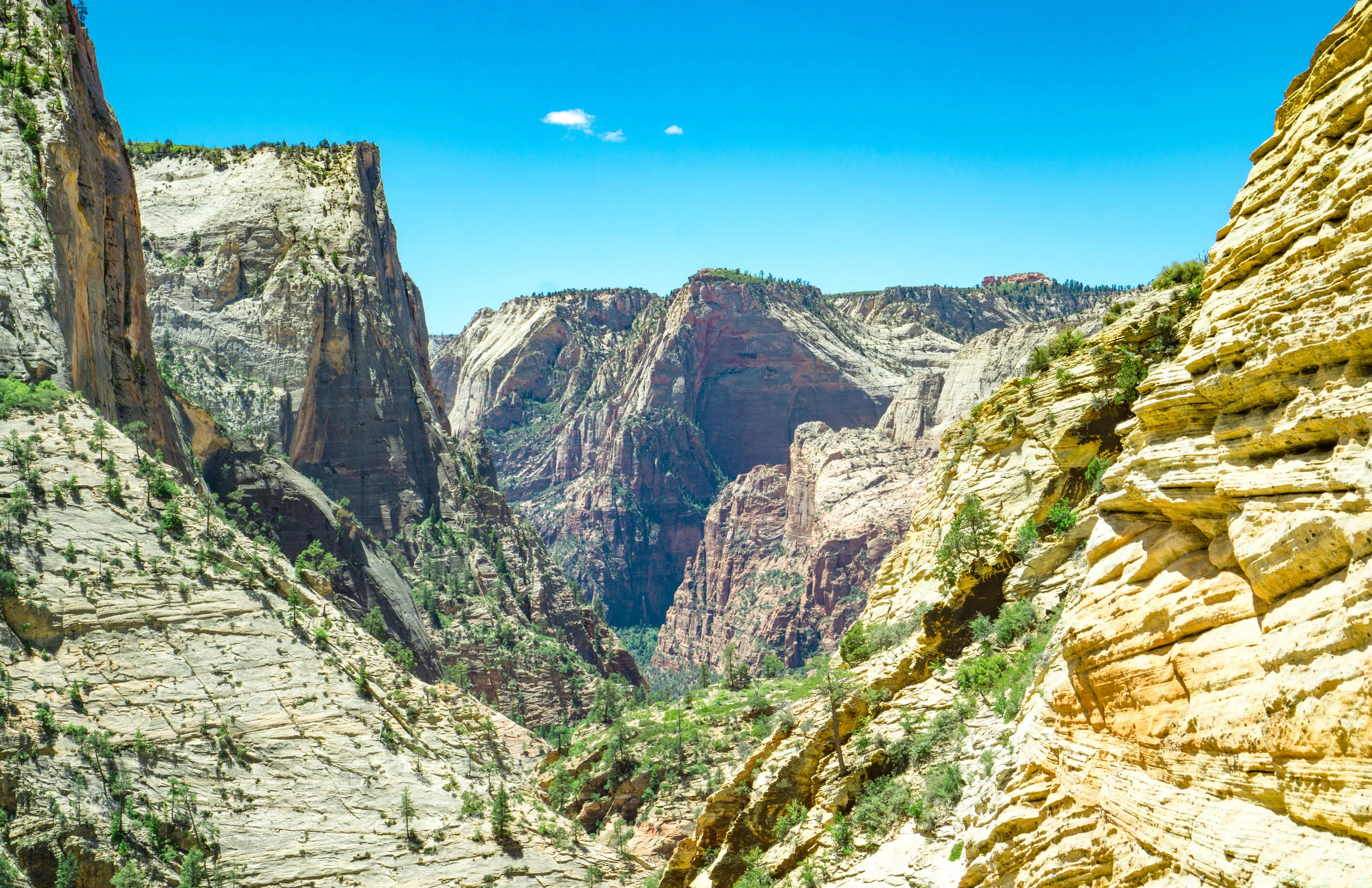 zion observation point.jpg