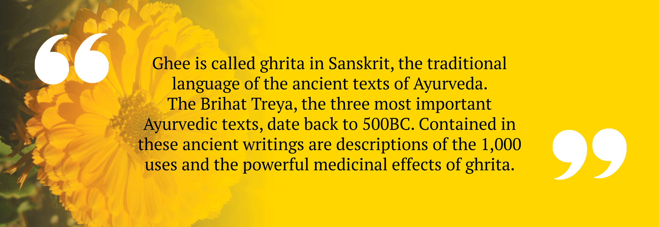 Ayurveda-header.gif