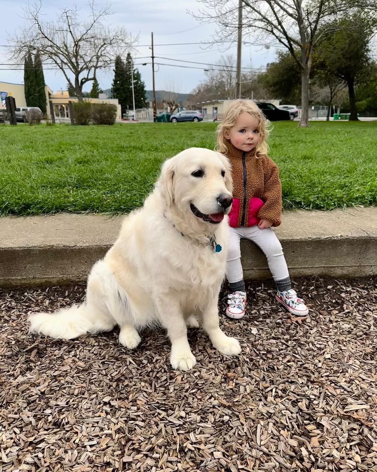 I don&rsquo;t think Phoebe has ever been so clean! She had her first #spawday and got the royal treatment with shampoo, conditioner and all over body massage  @stresslesspetcare did the best job ever on this stubborn girl!